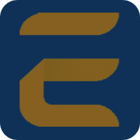 E The Finance Wiz Logo